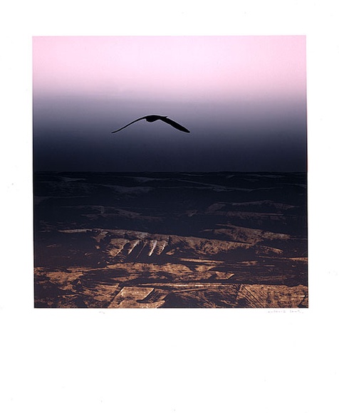 Artist: b'Daws, Lawrence.' | Title: b'Omen Bird.' | Date: 1970 | Technique: b'screenprint, printed in colour, from multiple stencils' | Copyright: b'\xc2\xa9 Lawrence Daws' Artist: b'Daws, Lawrence.' | Title: b'Omen Bird.' | Date: 1970 | Technique: b'screenprint, printed in colour, from multiple stencils' | Copyright: b'\xc2\xa9 Lawrence Daws'
