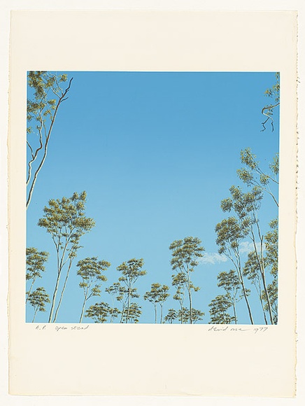 Artist: b'Rose, David.' | Title: b'Open stand' | Date: 1977 | Technique: b'screenprint, printed in colour, from multiple stencils' Artist: b'Rose, David.' | Title: b'Open stand' | Date: 1977 | Technique: b'screenprint, printed in colour, from multiple stencils'