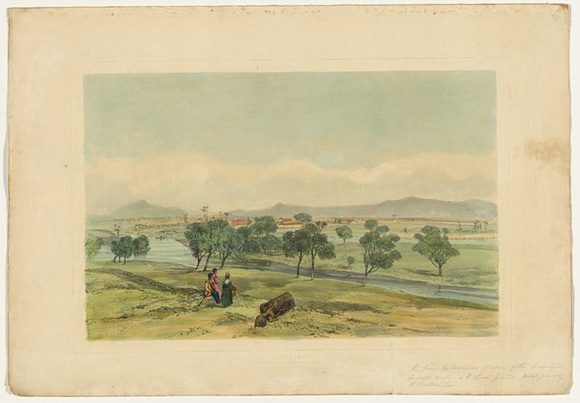 Artist: b'PROUT, John Skinner' | Title: b'Longford and Part of Norfolk Plains VDL' | Date: 1844 | Technique: b'lithograph, printed in black ink, from one stone; hand-coloured' Artist: b'PROUT, John Skinner' | Title: b'Longford and Part of Norfolk Plains VDL' | Date: 1844 | Technique: b'lithograph, printed in black ink, from one stone; hand-coloured'
