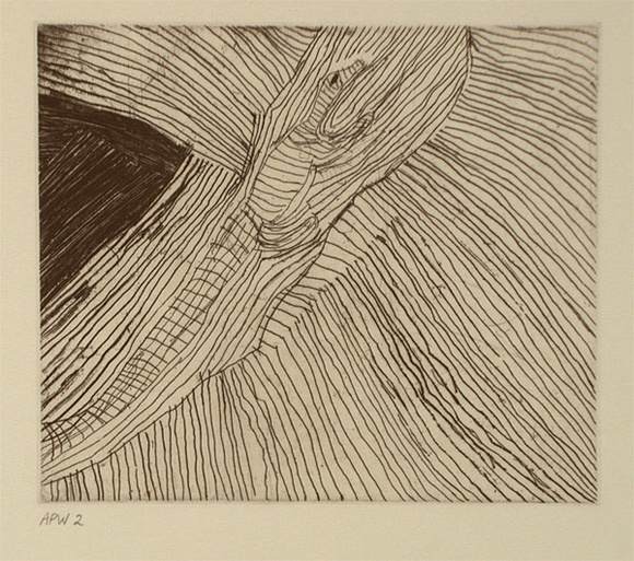 Artist: b'Nuggett, Amy.' | Title: b'Crocodile' | Date: 1994, October - November | Technique: b'etching, printed in black ink, from one plate' Artist: b'Nuggett, Amy.' | Title: b'Crocodile' | Date: 1994, October - November | Technique: b'etching, printed in black ink, from one plate'