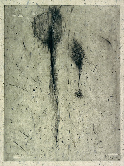 Artist: b'Lohse, Kate.' | Title: bWomen's issues | Date: 1986 | Technique: b'etching, printed in black ink with plate-tone'