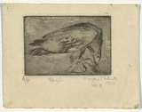 Artist: Cilento, Margaret. | Title: Eagle feeding. | Date: 1950 | Technique: etching and aquatint, printed in black ink with plate-tone, from one plate