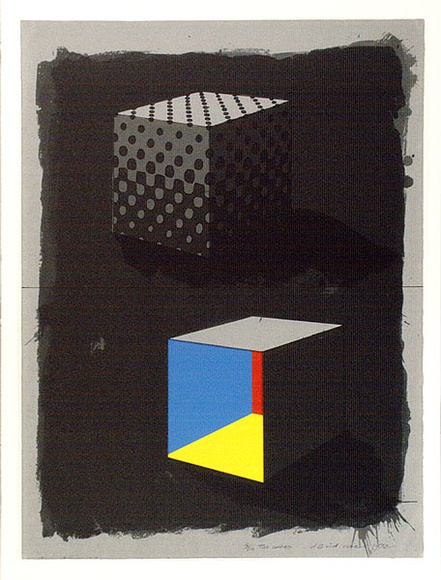 Artist: b'Rose, David.' | Title: b'Two cubes (2 sheets)' | Date: 1972 | Technique: b'screenprint, printed in colour, from multiple stencils' Artist: b'Rose, David.' | Title: b'Two cubes (2 sheets)' | Date: 1972 | Technique: b'screenprint, printed in colour, from multiple stencils'