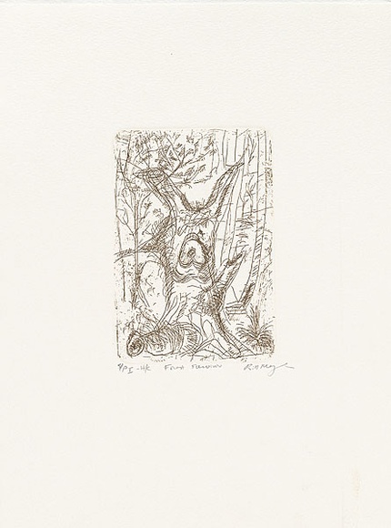 Artist: b'MEYER, Bill' | Title: b'Forest survivor' | Date: 1992 | Technique: b'etching, printed in brown-black charbonnel ink, from one plate' | Copyright: b'\xc2\xa9 Bill Meyer' Artist: b'MEYER, Bill' | Title: b'Forest survivor' | Date: 1992 | Technique: b'etching, printed in brown-black charbonnel ink, from one plate' | Copyright: b'\xc2\xa9 Bill Meyer'