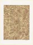 Artist: Tjupurrula, Turkey Tolsen | Title: Wilikinkurra | Date: 2001