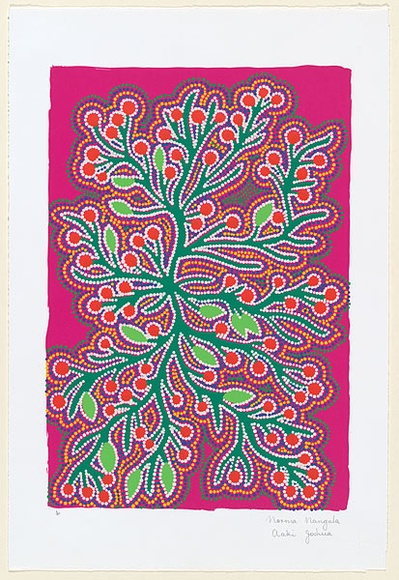 Artist: b'Nangala Joshua, Norma.' | Title: b'Bush orange' | Date: c.2001 | Technique: b'screenprint, printed in colour, from seven stencils'