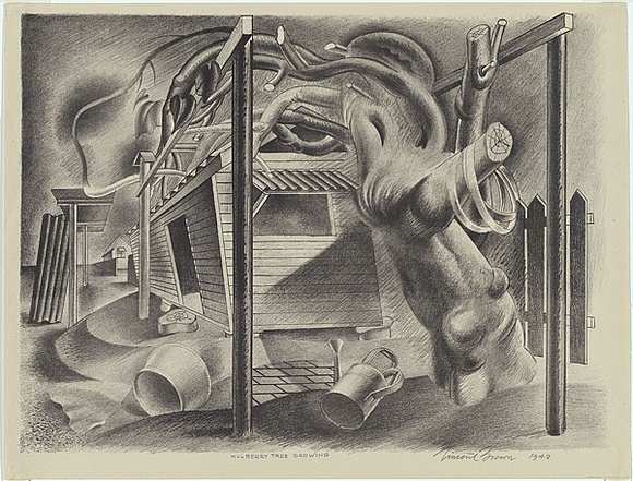 Artist: b'Brown, Vincent.' | Title: b'Mulberry tree growing.' | Date: 1948 | Technique: b'chalk-lithograph, printed in black ink, from one aluminium plate' Artist: b'Brown, Vincent.' | Title: b'Mulberry tree growing.' | Date: 1948 | Technique: b'chalk-lithograph, printed in black ink, from one aluminium plate'