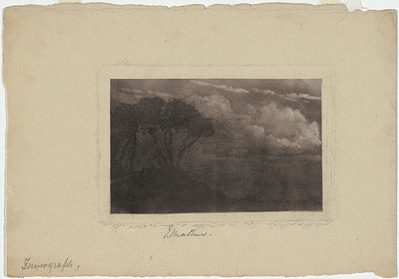 Artist: b'Mather, John.' | Title: b'(Ti-tree).' | Date: c.1898 | Technique: b'fumograph, printed in black ink, from one plate' Artist: b'Mather, John.' | Title: b'(Ti-tree).' | Date: c.1898 | Technique: b'fumograph, printed in black ink, from one plate'