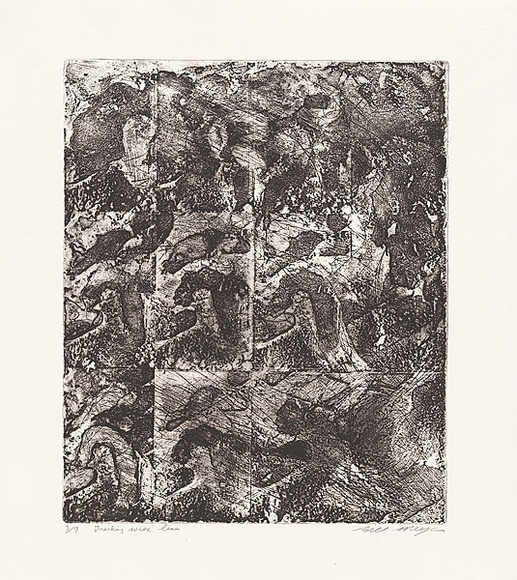 Artist: b'MEYER, Bill' | Title: b'Tracking with lines' | Date: 1981 | Technique: b'etching, aquatint and drypoint, printed in black ink, from one zinc plate (photo-etch)' | Copyright: b'\xc2\xa9 Bill Meyer' Artist: b'MEYER, Bill' | Title: b'Tracking with lines' | Date: 1981 | Technique: b'etching, aquatint and drypoint, printed in black ink, from one zinc plate (photo-etch)' | Copyright: b'\xc2\xa9 Bill Meyer'