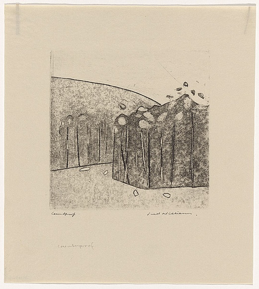 Artist: b'WILLIAMS, Fred' | Title: b'Forest at Almerton. Number 1' | Date: 1962 | Technique: b'etching, engraving, drypoint, printed in black ink, from one copper plate' | Copyright: b'\xc2\xa9 Fred Williams Estate' Artist: b'WILLIAMS, Fred' | Title: b'Forest at Almerton. Number 1' | Date: 1962 | Technique: b'etching, engraving, drypoint, printed in black ink, from one copper plate' | Copyright: b'\xc2\xa9 Fred Williams Estate'