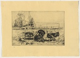Artist: b'Long, Sydney.' | Title: b'Turkeys and pumpkins' | Date: 1925 | Technique: b'line-etching and drypoint, printed in black ink with plate-tone, from one copper plate' | Copyright: b'Reproduced with the kind permission of the Ophthalmic Research Institute of Australia'
