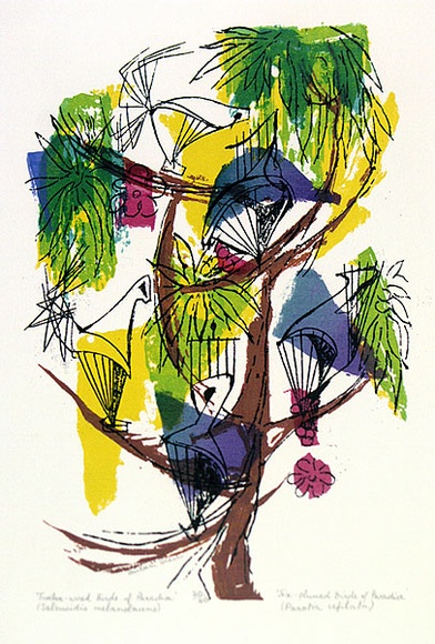 Artist: b'Brash, Barbara.' | Title: b'Twelve-wired Birds of Paradise. Six-plumed Birds of Paradise..' | Date: 1965 | Technique: b'screenprint, printed in colour, from nine stencils' Artist: b'Brash, Barbara.' | Title: b'Twelve-wired Birds of Paradise. Six-plumed Birds of Paradise..' | Date: 1965 | Technique: b'screenprint, printed in colour, from nine stencils'