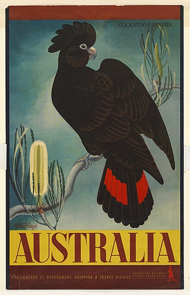 Artist: b'Mayo, Eileen.' | Title: b'Australia (Cockatoo and Banksia)' | Date: (1956) | Technique: b'lithograph, printed in colour, from multiple plates' Artist: b'Mayo, Eileen.' | Title: b'Australia (Cockatoo and Banksia)' | Date: (1956) | Technique: b'lithograph, printed in colour, from multiple plates'