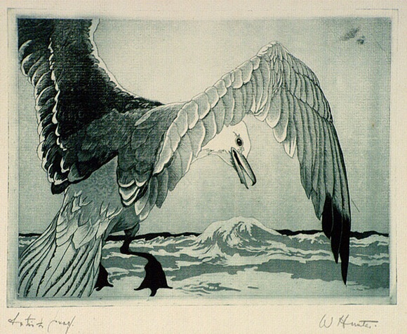 Artist: b'Hunter, William.' | Title: b'Seagull' | Date: 1940s | Technique: b'etching, printed in colour, from multiple plates' Artist: b'Hunter, William.' | Title: b'Seagull' | Date: 1940s | Technique: b'etching, printed in colour, from multiple plates'