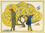 Artist: Black, Dorrit. | Title: The wattle tree. | Date: c.1933 | Technique: linocut, printed in colour, from four blocks (yellow, orange, grey-green, cobalt blue)