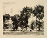 Artist: GOODCHILD, John | Title: Light through trees | Date: 1926 | Technique: lithograph, printed in black ink, from one stone