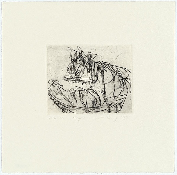 Artist: b'Bragge, Anita.' | Title: b'Tiger' | Date: 1997, April | Technique: b'etching, printed in black ink from one plate' Artist: b'Bragge, Anita.' | Title: b'Tiger' | Date: 1997, April | Technique: b'etching, printed in black ink from one plate'