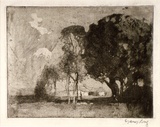 Artist: b'Long, Sydney.' | Title: b'Pastoral aquatint' | Date: 1921 | Technique: b'drypoint, aquatint and foul biting, printed in brown ink, from one copper plate' | Copyright: b'Reproduced with the kind permission of the Ophthalmic Research Institute of Australia'