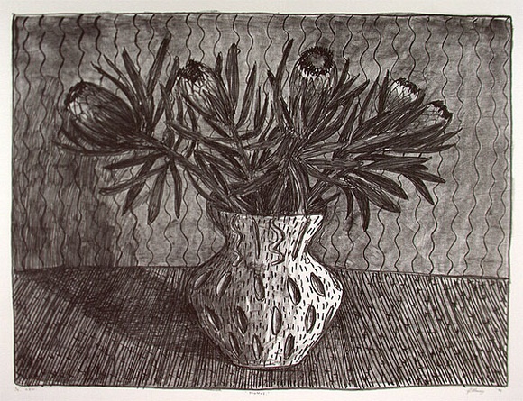 Artist: b'Money, John.' | Title: b'Proteas' | Date: 1995, October | Technique: b'lithograph, printed in black ink, from one stone' Artist: b'Money, John.' | Title: b'Proteas' | Date: 1995, October | Technique: b'lithograph, printed in black ink, from one stone'
