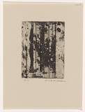 Artist: WILLIAMS, Fred | Title: Landscape panel. Number 6 | Date: 1962 | Technique: aquatint, drypoint and engraving, printed in black ink, from one copper plate | Copyright: © Fred Williams Estate
