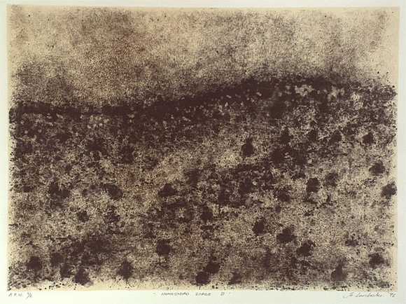 Artist: Lankester, Jo. | Title: Homestead gorge II | Date: 1996, July | Technique: lithograph, printed in black ink, from one stone; cream tint