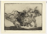 Artist: SELLBACH, Udo | Title: not titled | Date: 1960-80 | Technique: etching