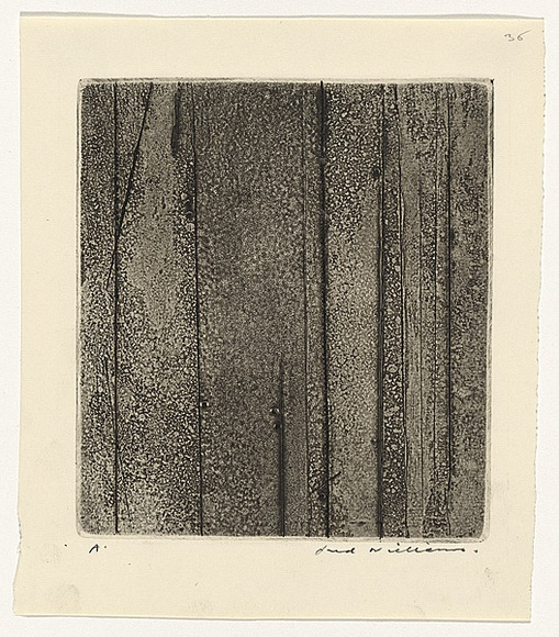 Artist: b'WILLIAMS, Fred' | Title: b'Sherbrooke Forest. Number 4' | Date: 1962 | Technique: b'aquatint and engraving, printed in black ink, from one zinc plate' | Copyright: b'\xc2\xa9 Fred Williams Estate' Artist: b'WILLIAMS, Fred' | Title: b'Sherbrooke Forest. Number 4' | Date: 1962 | Technique: b'aquatint and engraving, printed in black ink, from one zinc plate' | Copyright: b'\xc2\xa9 Fred Williams Estate'