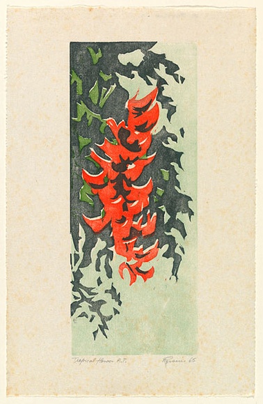 Artist: b'EWINS, Rod' | Title: b'Tropical flower.' | Date: 1965 | Technique: b'woodcut, printed in colour, from three English maple plankes' Artist: b'EWINS, Rod' | Title: b'Tropical flower.' | Date: 1965 | Technique: b'woodcut, printed in colour, from three English maple plankes'