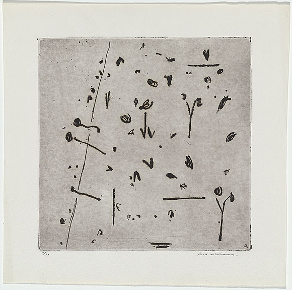 Artist: b'WILLIAMS, Fred' | Title: b'Hillside number 2.' | Date: 1965-66 | Technique: b'etching, flat biting, drypoint and mezzotint rocker, printed in black ink, from one zinc plate' | Copyright: b'\xc2\xa9 Fred Williams Estate' Artist: b'WILLIAMS, Fred' | Title: b'Hillside number 2.' | Date: 1965-66 | Technique: b'etching, flat biting, drypoint and mezzotint rocker, printed in black ink, from one zinc plate' | Copyright: b'\xc2\xa9 Fred Williams Estate'