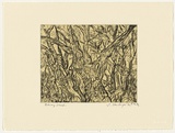 Artist: Senbergs, Jan. | Title: Otway scrub | Date: 1992 | Technique: etching, printed in black ink, from one plate; chine collé | Copyright: © Jan Senbergs