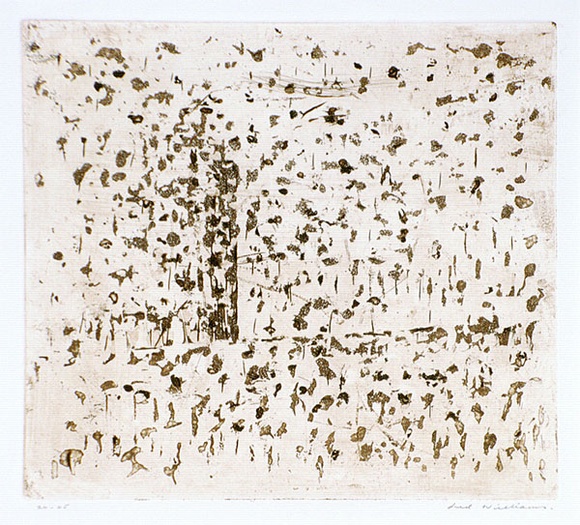 Artist: b'WILLIAMS, Fred' | Title: b'You Yangs landscape. Number 1' | Date: 1963-64 | Technique: b'aquatint, drypoint and engraving, printed in sepia ink, from one copper plate' | Copyright: b'\xc2\xa9 Fred Williams Estate' Artist: b'WILLIAMS, Fred' | Title: b'You Yangs landscape. Number 1' | Date: 1963-64 | Technique: b'aquatint, drypoint and engraving, printed in sepia ink, from one copper plate' | Copyright: b'\xc2\xa9 Fred Williams Estate'