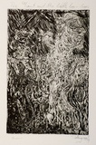 Artist: b'Shearer, Mitzi.' | Title: b'The giant and the little boo-boos' | Date: 1991