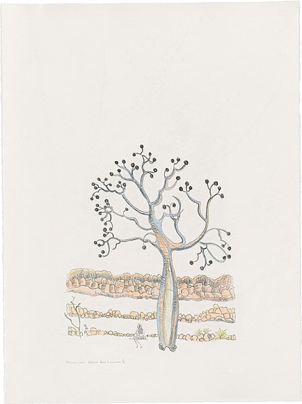 Artist: b'Bradhurst, Jane.' | Title: b'This is our land, celebrity boab, Kununurra.' | Date: 1997 | Technique: b'lithograph, printed in black ink, from one stone; hand-coloured in watercolour' Artist: b'Bradhurst, Jane.' | Title: b'This is our land, celebrity boab, Kununurra.' | Date: 1997 | Technique: b'lithograph, printed in black ink, from one stone; hand-coloured in watercolour'