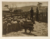 Artist: LINDSAY, Lionel | Title: Drafting sheep | Date: 1947 | Technique: etching and foul biting, printed in warm black ink, from one plate | Copyright: Courtesy of the National Library of Australia