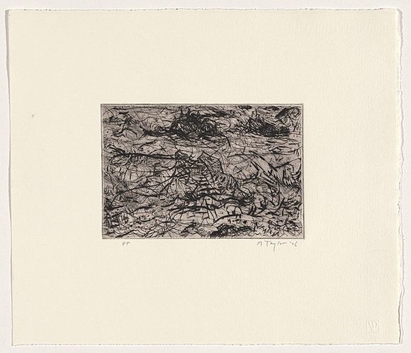 Artist: b'Taylor, Michael.' | Title: b'not titled [3]' | Date: 2006 | Technique: b'etching, printed in black ink, from one zinc plate' | Copyright: b'\xc2\xa9 Michael Taylor'