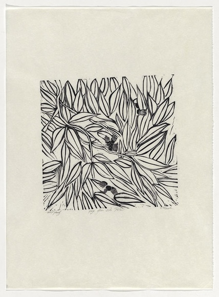 Artist: b'Head, Rachel.' | Title: b'Page from the pillow' | Technique: b'linocut, printed in black ink, from one block'