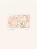 Artist: b'MEYER, Bill' | Title: b'Ramallah' | Date: 1992 | Technique: b'drypoint and roulette, printed in colour a la poup\xc3\xa9e, from one zinc plate' | Copyright: b'\xc2\xa9 Bill Meyer'