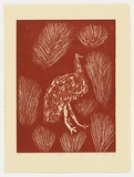 Artist: Bird Petyarre, Ada. | Title: Emu | Date: 1991 | Technique: linocut, printed in red ink, from one block | Copyright: © Ada Bird Petyarr. Licensed by VISCOPY, Australia