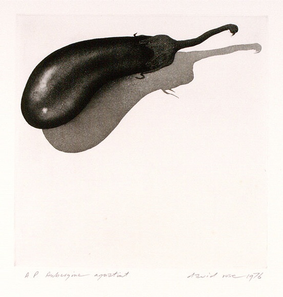 Artist: b'Rose, David.' | Title: b'Aubergine aquatint' | Date: 1976 | Technique: b'aquatint and etching, printed in black ink, from one plate' Artist: b'Rose, David.' | Title: b'Aubergine aquatint' | Date: 1976 | Technique: b'aquatint and etching, printed in black ink, from one plate'