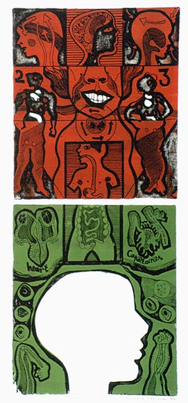 Artist: b'HANRAHAN, Barbara' | Title: b'(Anatomical study)' | Date: 1966 | Technique: b'etching, printed in colour from three plates' Artist: b'HANRAHAN, Barbara' | Title: b'(Anatomical study)' | Date: 1966 | Technique: b'etching, printed in colour from three plates'