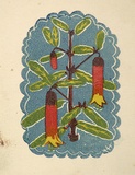 Artist: OGILVIE, Helen | Title: Greeting card: (Christmas Bells) | Technique: linocut, printed in colour, from multiple blocks