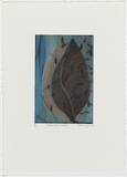 Artist: Wright, Helen. | Title: (Two leaves on blue background and blue specks) | Date: 2000 | Technique: digital print, printed in colour, from digital file
