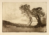 Artist: LONG, Sydney | Title: A Cornish landscape | Date: (1919) | Technique: softground, aquatint | Copyright: Reproduced with the kind permission of the Ophthalmic Research Institute of Australia