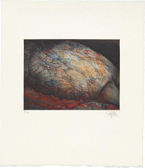 Artist: b'SCHMEISSER, Jorg' | Title: b'Rockface with red' | Date: 1985 | Technique: b'softground-etching and aquatint, printed in colour, from three plates' | Copyright: b'\xc2\xa9 J\xc3\xb6rg Schmeisser' Artist: b'SCHMEISSER, Jorg' | Title: b'Rockface with red' | Date: 1985 | Technique: b'softground-etching and aquatint, printed in colour, from three plates' | Copyright: b'\xc2\xa9 J\xc3\xb6rg Schmeisser'