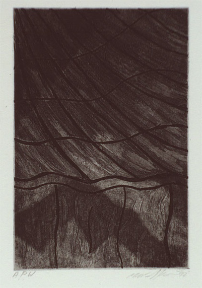 Artist: b'STAFFIERI, Mara' | Title: b'Shadow' | Date: 1992 | Technique: b'etching and aquatint, printed in black ink with plate-tone, from one plate' Artist: b'STAFFIERI, Mara' | Title: b'Shadow' | Date: 1992 | Technique: b'etching and aquatint, printed in black ink with plate-tone, from one plate'