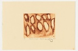 Artist: NAPANANGKA, Makinti | Title: Kaarkuridiuja | Date: 2004 | Technique: drypoint etching, printed in brown ink, from one perspex plate