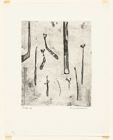 Artist: b'WILLIAMS, Fred' | Title: b'Ferns. Number 2' | Date: 1971 | Technique: b'aquatint, rough biting, etching, engraving, electric hand engraving to roulette on lavis, printed in black ink, from one zinc plate' | Copyright: b'\xc2\xa9 Fred Williams Estate' Artist: b'WILLIAMS, Fred' | Title: b'Ferns. Number 2' | Date: 1971 | Technique: b'aquatint, rough biting, etching, engraving, electric hand engraving to roulette on lavis, printed in black ink, from one zinc plate' | Copyright: b'\xc2\xa9 Fred Williams Estate'
