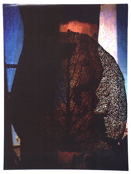 Artist: b'Payne, Patsy.' | Title: b'not titled [colour photocopy of leaf silhouette]' | Date: 1993 | Technique: b'photocopy, printed in colour, from one stencil'