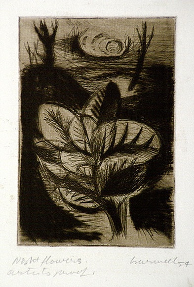 Artist: b'Barwell, Geoff.' | Title: b'Night flowers.' | Date: 1954 | Technique: b'drypoint and etching, printed in dark brown ink with plate-tone, from one plate' Artist: b'Barwell, Geoff.' | Title: b'Night flowers.' | Date: 1954 | Technique: b'drypoint and etching, printed in dark brown ink with plate-tone, from one plate'