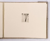 Artist: Mann, Gillian. | Title: Text. | Date: 1981 | Technique: etching, printed in black ink, from one plate